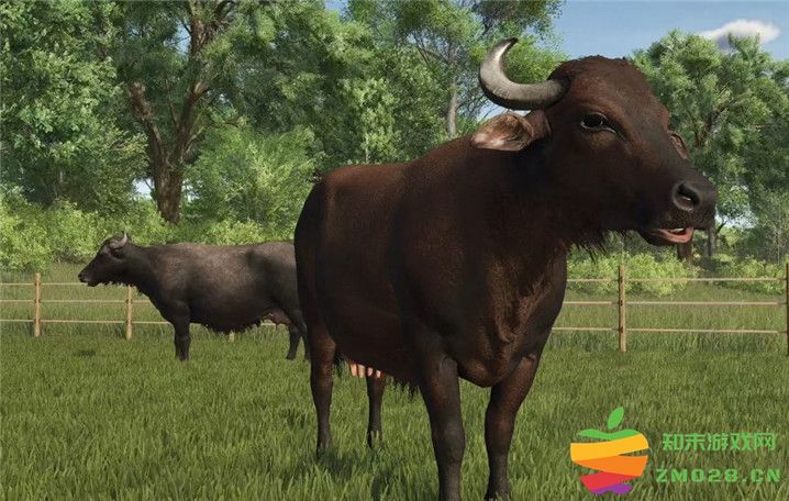 《模拟农场25 Farming Simulator 25》奶牛喂养技巧与最佳实践揭秘