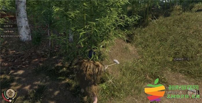 《战国王朝 Sengoku Dynasty》中如何高效种植各种农作物以提升产量