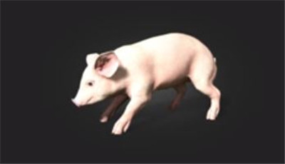 《模拟农场25 Farming Simulator 25》全面解析养猪技巧与攻略