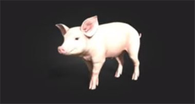 《模拟农场25 Farming Simulator 25》全面解析养猪技巧与攻略
