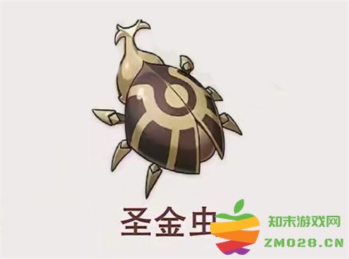 原神圣金虫的刷新时间是什么时候？具体间隔介绍与分析