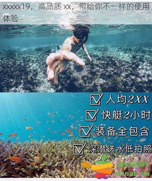 xxxxx19，高品质 xx，带给你不一样的使用体验