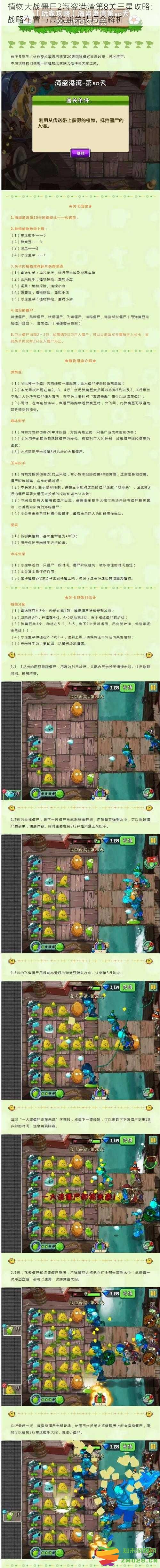植物大战僵尸2海盗港湾第8关通关秘籍：全方位策略与三星达成技巧详解