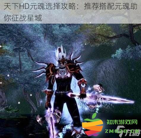 天下HD元魂搭配指南：精选元魂组合助你在星域中取得胜利