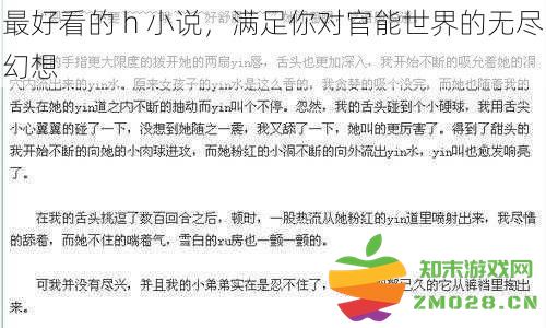 最具魅力的 h 小说，带你进入官能幻想的无尽魅力世界